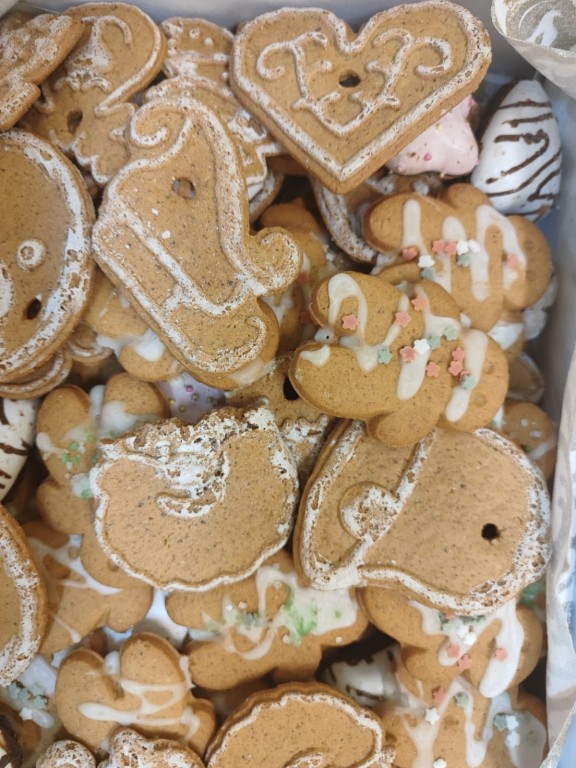 Odwiedziny w Ośrodku Św. Elżbiety Caritas w Rudzie Śląskiej